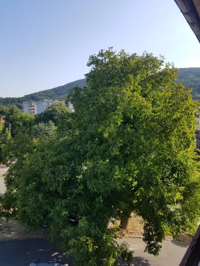 Retro Apartment Malko Turnovo Luaran gambar